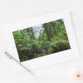 Tropische Flora des belebten Regenwaldes Rechteckiger Aufkleber (Umschlag)