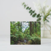 Tropische Flora el yunque Regenwald Postkarte (Stehend Vorderseite)