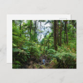 Tropische Flora el yunque Regenwald Postkarte (Vorne/Hinten)