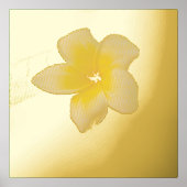 Tropische Frangipani-Blumenfotografie Foliendrucke (Vorderseite)