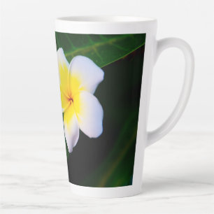 Tropische Frangipani-Blumenfotografie Milchtasse