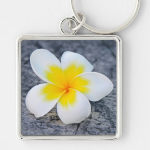 Tropische Frangipani-Blumenfotografie Schlüsselanhänger