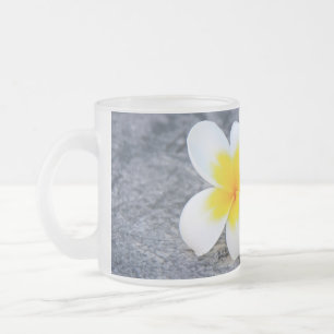 Tropische Frangipani-Botanik-Foto Mattglastasse