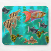 Tropische Frischwasserfische Mousepad (Vorne)