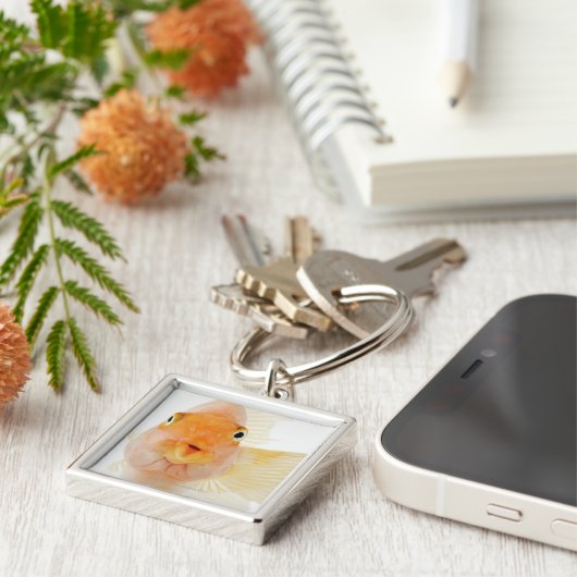 Tropische Frischwasserfische Schlüsselanhänger (Seite)