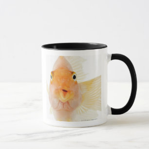 Tropische Frischwasserfische Tasse