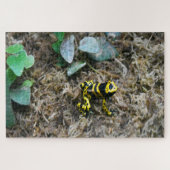 Tropische Frösche. Jigsaw Puzzle (Horizontal)