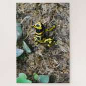 Tropische Frösche. Jigsaw Puzzle (Vertikal)