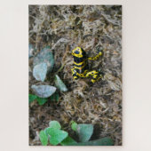 Tropische Frösche. Puzzle (Vertikal)