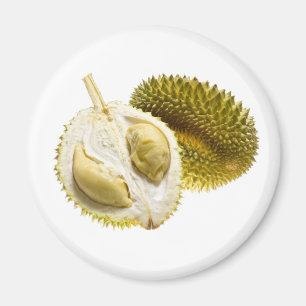 Tropische Frucht - Durian Magnet