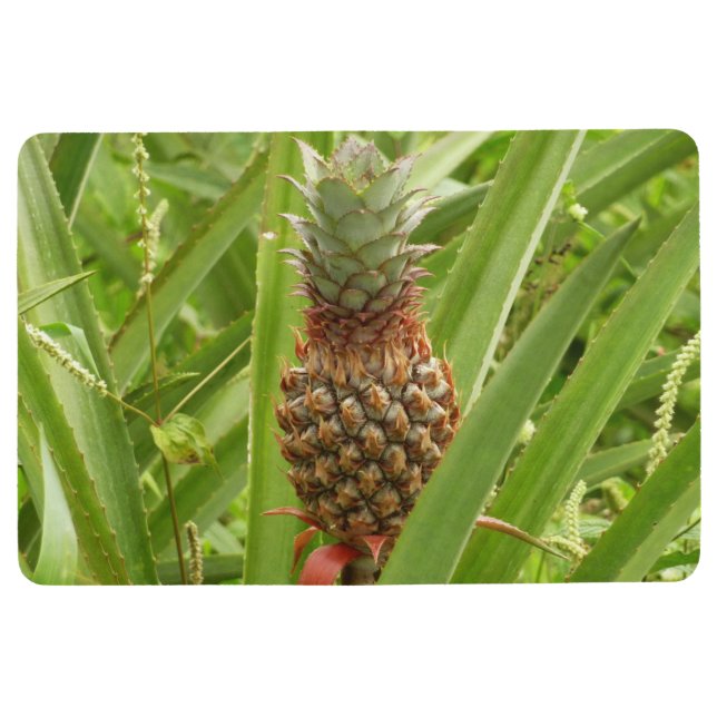 Tropische Früchte der Ananas in der Natur Bodenmatte (Vorderseite)