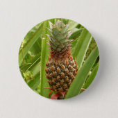 Tropische Früchte der Ananas in der Natur Button (Vorderseite)