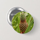 Tropische Früchte der Ananas in der Natur Button (Vorne & Hinten)