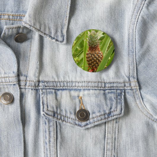 Tropische Früchte der Ananas in der Natur Button (Beispiel)