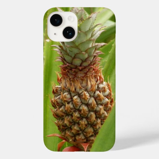 Tropische Früchte der Ananas in der Natur Case-Mate iPhone Hülle (Rückseite)