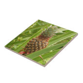 Tropische Früchte der Ananas in der Natur Fliese (Seite)