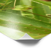 Tropische Früchte der Ananas in der Natur Fotodruck (Ecke)