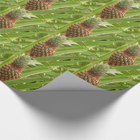 Tropische Früchte der Ananas in der Natur Geschenkpapier (Ecke)