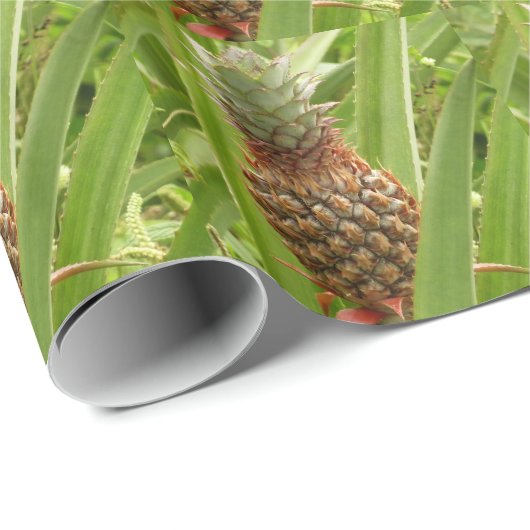 Tropische Früchte der Ananas in der Natur Geschenkpapier (Rolleneckpunkt)