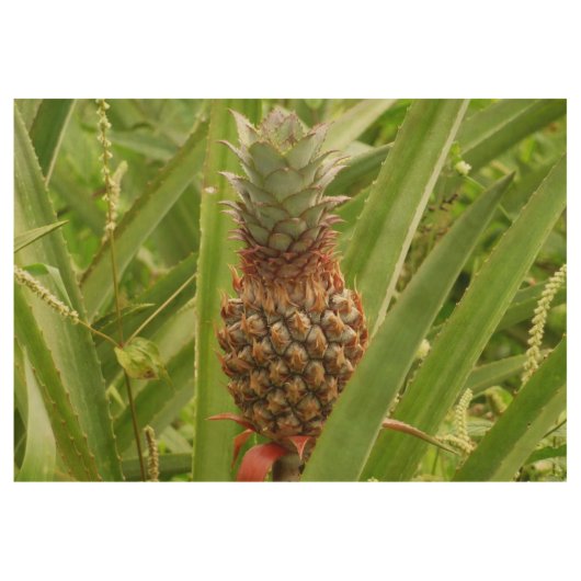 Tropische Früchte der Ananas in der Natur Holzposter (Vorderseite)