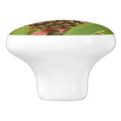 Tropische Früchte der Ananas in der Natur Keramikknauf (Seitenansicht)