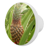 Tropische Früchte der Ananas in der Natur Keramikknauf (Rechts)