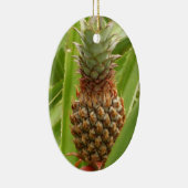 Tropische Früchte der Ananas in der Natur Keramikornament (Rechts)