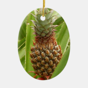 Tropische Früchte der Ananas in der Natur Keramikornament