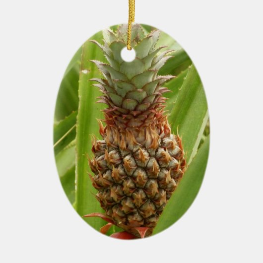Tropische Früchte der Ananas in der Natur Keramikornament (Vorne)