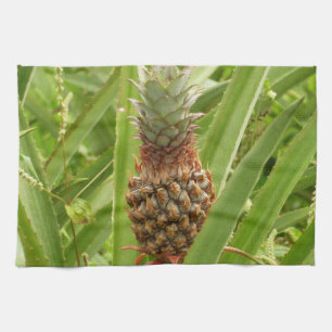 Tropische Früchte der Ananas in der Natur Küchentuch