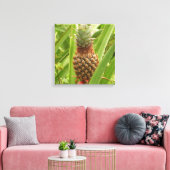 Tropische Früchte der Ananas in der Natur Leinwanddruck (Insitu (Wohnzimmer))