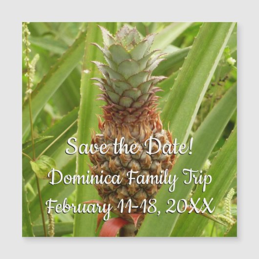 Tropische Früchte der Ananas in der Natur Magnetkarte (Vorderseite)