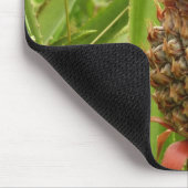 Tropische Früchte der Ananas in der Natur Mousepad (Ecke)