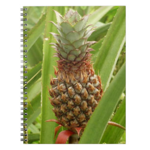 Tropische Früchte der Ananas in der Natur Notizblock