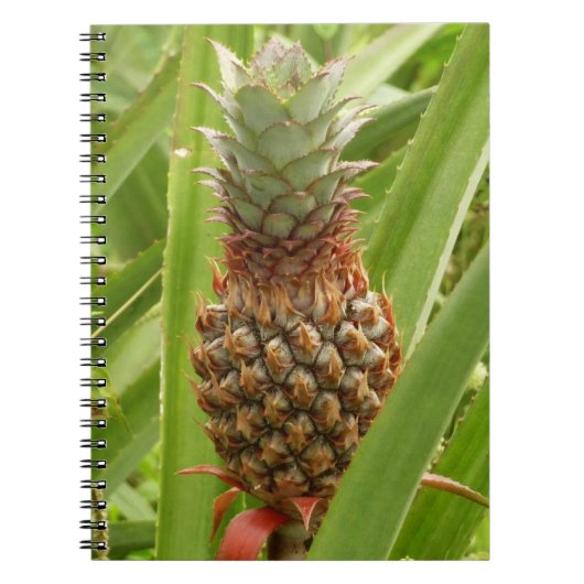 Tropische Früchte der Ananas in der Natur Notizblock (Vorderseite)