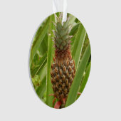 Tropische Früchte der Ananas in der Natur Ornament (Vorderseite)