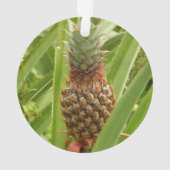 Tropische Früchte der Ananas in der Natur Ornament (Rückseite)