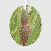 Tropische Früchte der Ananas in der Natur Ornament (Vorderseite)