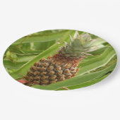 Tropische Früchte der Ananas in der Natur Pappteller (Schrägansicht)