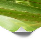 Tropische Früchte der Ananas in der Natur Poster (Ecke)