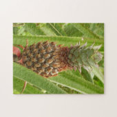 Tropische Früchte der Ananas in der Natur Puzzle (Horizontal)