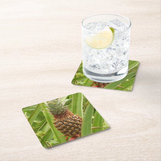 Tropische Früchte der Ananas in der Natur Rechteckiger Pappuntersetzer (Vor Ort)