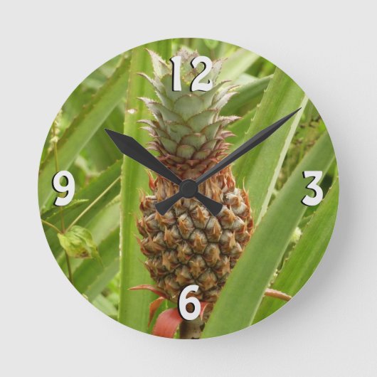 Tropische Früchte der Ananas in der Natur Runde Wanduhr (Vorderseite)