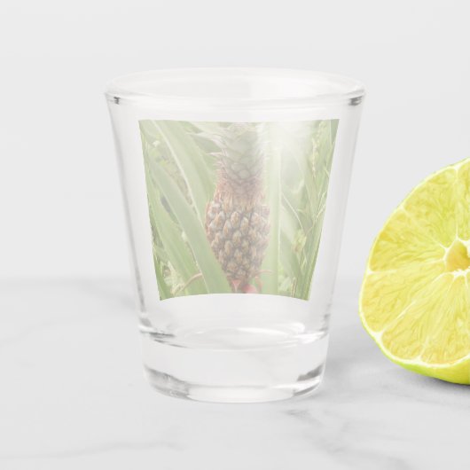 Tropische Früchte der Ananas in der Natur Schnapsglas (Rückseite)