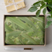 Tropische Früchte der Ananas in der Natur Seidenpapier (Geschenk)