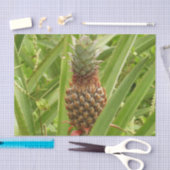 Tropische Früchte der Ananas in der Natur Seidenpapier (Handwerk)