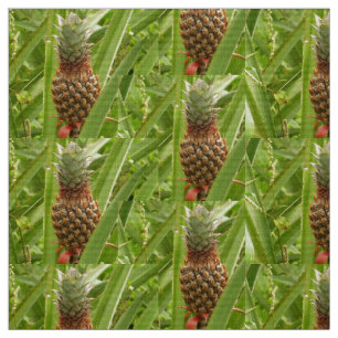 Tropische Früchte der Ananas in der Natur Stoff