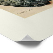 Tropische Früchte Poster (Ecke)