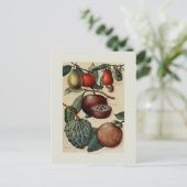 Tropische Früchte Postkarte (Stehend Vorderseite)