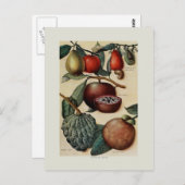 Tropische Früchte Postkarte (Vorne/Hinten)
